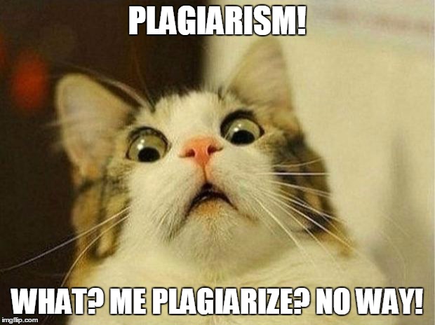 Scared Cat Meme | PLAGIARISM! WHAT? ME PLAGIARIZE? NO WAY! | image tagged in memes,scared cat,plagiarism | made w/ Imgflip meme maker