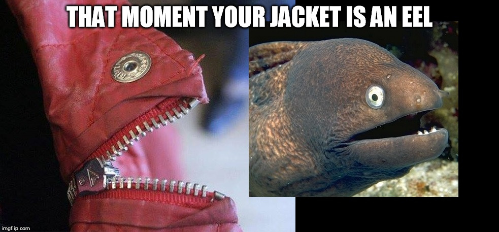 jacket eel | THAT MOMENT YOUR JACKET IS AN EEL | image tagged in eel,jacket,coat,jacket eel | made w/ Imgflip meme maker