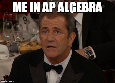 Confused Mel Gibson Meme | ME IN AP ALGEBRA | image tagged in memes,confused mel gibson | made w/ Imgflip meme maker