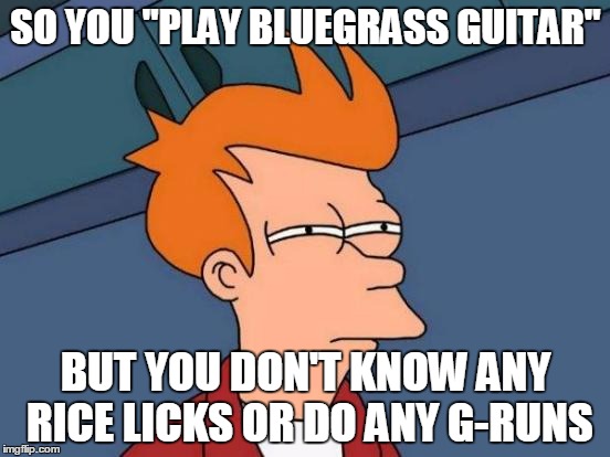 Futurama Fry Meme | SO YOU "PLAY BLUEGRASS GUITAR" BUT YOU DON'T KNOW ANY RICE LICKS OR DO ANY G-RUNS | image tagged in memes,futurama fry | made w/ Imgflip meme maker