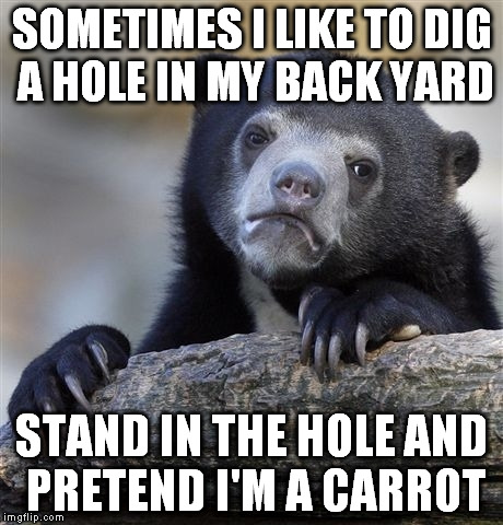 God, I love Google Search offers. | SOMETIMES I LIKE TO DIG A HOLE IN MY BACK YARD STAND IN THE HOLE AND PRETEND I'M A CARROT | image tagged in memes,confession bear | made w/ Imgflip meme maker