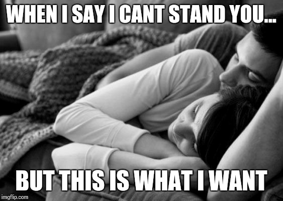 cuddle | WHEN I SAY I CANT STAND YOU... BUT THIS IS WHAT I WANT | image tagged in cuddle | made w/ Imgflip meme maker