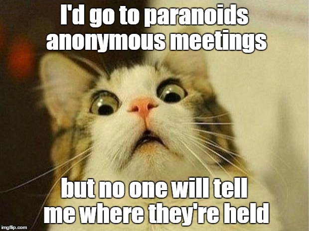 Frightened Feline | I'd go to paranoids anonymous meetings but no one will tell me where they're held | image tagged in memes,scared cat,funny | made w/ Imgflip meme maker