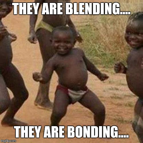Third World Success Kid | THEY ARE BLENDING.... THEY ARE BONDING.... | image tagged in memes,third world success kid | made w/ Imgflip meme maker