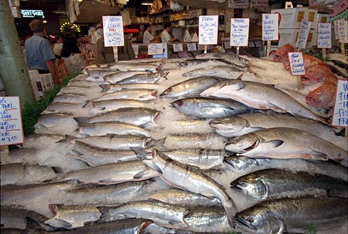 High Quality fish market Blank Meme Template