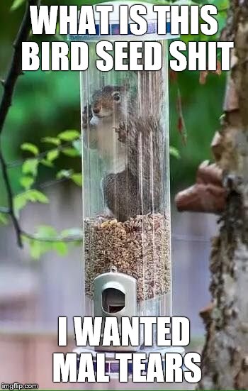 Squirrel | WHAT IS THIS BIRD SEED SHIT I WANTED MAL TEARS | image tagged in squirrel | made w/ Imgflip meme maker