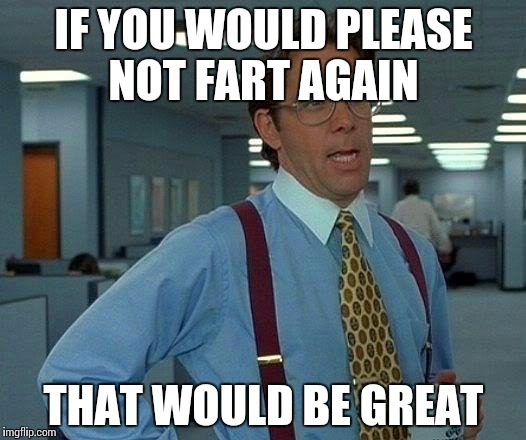 That Would Be Great Meme | IF YOU WOULD PLEASE NOT FART AGAIN THAT WOULD BE GREAT | image tagged in memes,that would be great | made w/ Imgflip meme maker