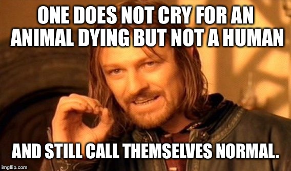 One Does Not Simply Meme | ONE DOES NOT CRY FOR AN ANIMAL DYING BUT NOT A HUMAN AND STILL CALL THEMSELVES NORMAL. | image tagged in memes,one does not simply | made w/ Imgflip meme maker