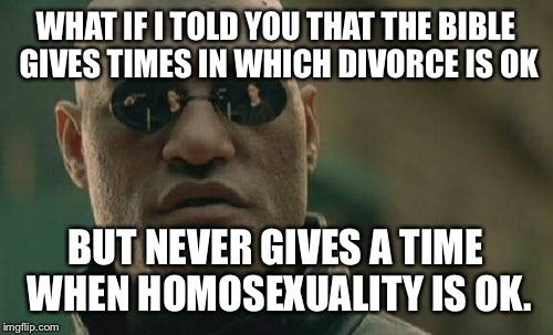 Matrix Morpheus Meme | WHAT IF I TOLD YOU THAT THE BIBLE GIVES TIMES IN WHICH DIVORCE IS OK BUT NEVER GIVES A TIME WHEN HOMOSEXUALITY IS OK. | image tagged in memes,matrix morpheus | made w/ Imgflip meme maker