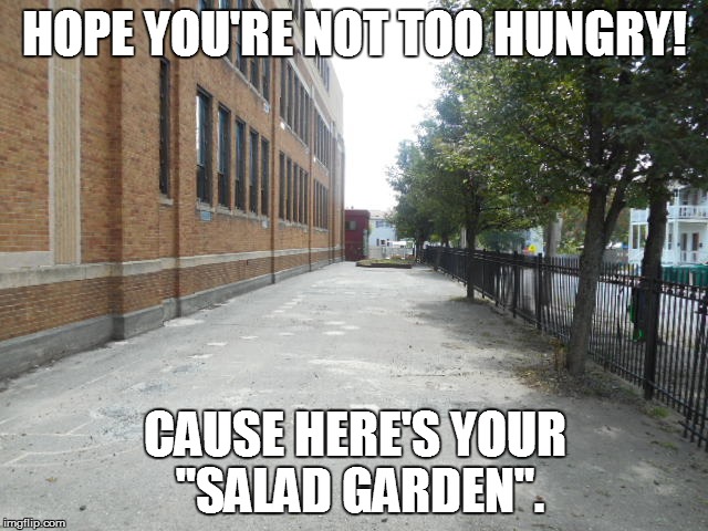 DESTRUCTION DIVOT! | HOPE YOU'RE NOT TOO HUNGRY! CAUSE HERE'S YOUR "SALAD GARDEN". | image tagged in garden,school | made w/ Imgflip meme maker