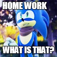 Home work  | HOME WORK WHAT IS THAT? | image tagged in sonic the hedgehog | made w/ Imgflip meme maker