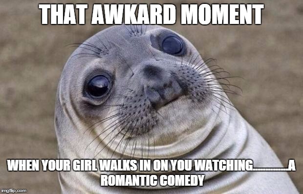 Awkward Moment Sealion Meme | THAT AWKARD MOMENT WHEN YOUR GIRL WALKS IN ON YOU WATCHING..............A ROMANTIC COMEDY | image tagged in memes,awkward moment sealion | made w/ Imgflip meme maker