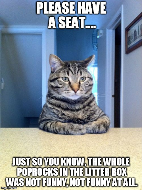 Take A Seat Cat | PLEASE HAVE A SEAT.... JUST SO YOU KNOW, THE WHOLE POPROCKS IN THE LITTER BOX WAS NOT FUNNY, NOT FUNNY AT ALL. | image tagged in memes,take a seat cat | made w/ Imgflip meme maker