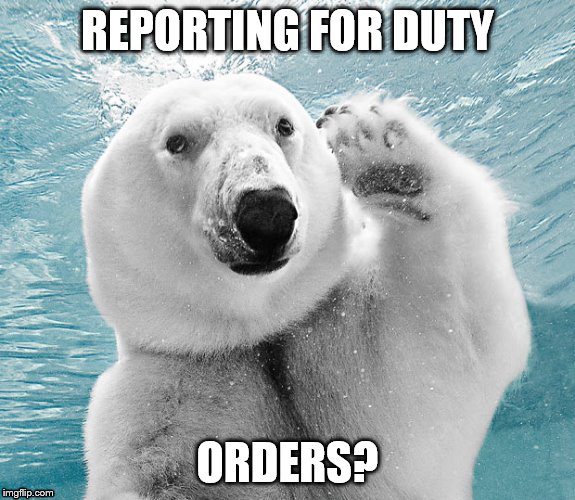 REPORTING FOR DUTY ORDERS? | made w/ Imgflip meme maker