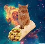 High Quality burrito cat in space Blank Meme Template