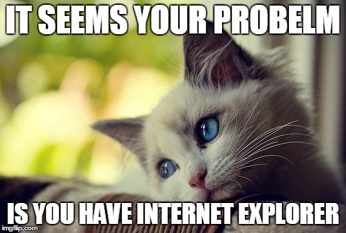 First World Problems Cat Meme | IT SEEMS YOUR PROBELM IS YOU HAVE INTERNET EXPLORER | image tagged in memes,first world problems cat | made w/ Imgflip meme maker