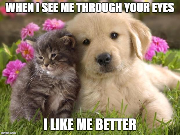 puppies and kittens | WHEN I SEE ME THROUGH YOUR EYES I LIKE ME BETTER | image tagged in puppies and kittens | made w/ Imgflip meme maker