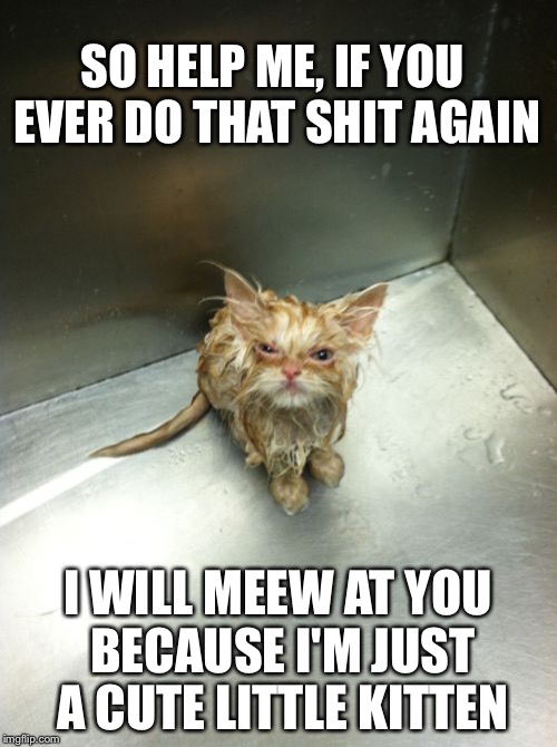 Kill You Cat | SO HELP ME, IF YOU EVER DO THAT SHIT AGAIN I WILL MEEW AT YOU BECAUSE I'M JUST A CUTE LITTLE KITTEN | image tagged in memes,kill you cat | made w/ Imgflip meme maker