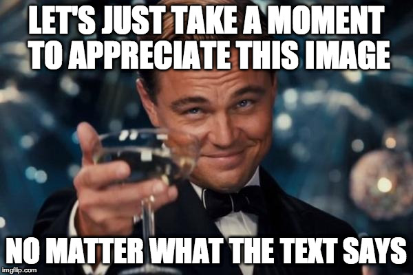 Leonardo Dicaprio Cheers Meme | LET'S JUST TAKE A MOMENT TO APPRECIATE THIS IMAGE NO MATTER WHAT THE TEXT SAYS | image tagged in memes,leonardo dicaprio cheers | made w/ Imgflip meme maker