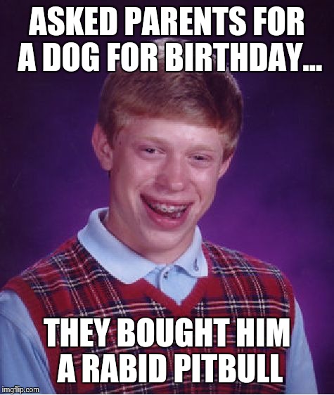 Bad Luck Brian Meme | ASKED PARENTS FOR A DOG FOR BIRTHDAY... THEY BOUGHT HIM A RABID PITBULL | image tagged in memes,bad luck brian | made w/ Imgflip meme maker