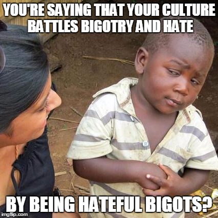 Hypocrisy Everywhere these Days | YOU'RE SAYING THAT YOUR CULTURE BATTLES BIGOTRY AND HATE BY BEING HATEFUL BIGOTS? | image tagged in memes,third world skeptical kid,politics | made w/ Imgflip meme maker