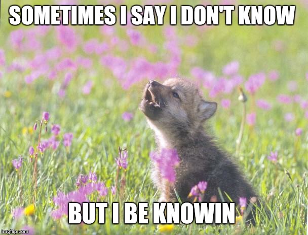Baby Insanity Wolf Meme | SOMETIMES I SAY I DON'T KNOW BUT I BE KNOWIN | image tagged in memes,baby insanity wolf | made w/ Imgflip meme maker