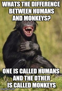 Laughing monkey | WHATS THE DIFFERENCE BETWEEN HUMANS AND MONKEYS? ONE IS CALLED HUMANS AND THE OTHER IS CALLED MONKEYS | image tagged in laughing monkey | made w/ Imgflip meme maker