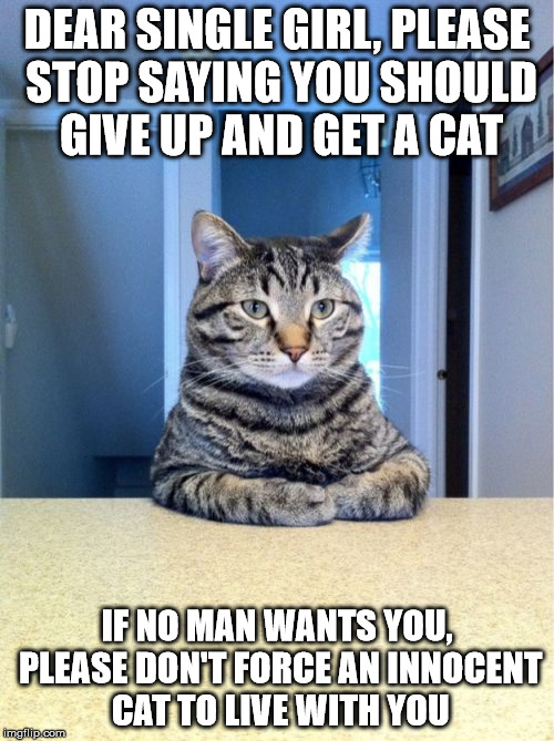 Take A Seat Cat Meme | DEAR SINGLE GIRL, PLEASE STOP SAYING YOU SHOULD GIVE UP AND GET A CAT IF NO MAN WANTS YOU, PLEASE DON'T FORCE AN INNOCENT CAT TO LIVE WITH Y | image tagged in memes,take a seat cat | made w/ Imgflip meme maker