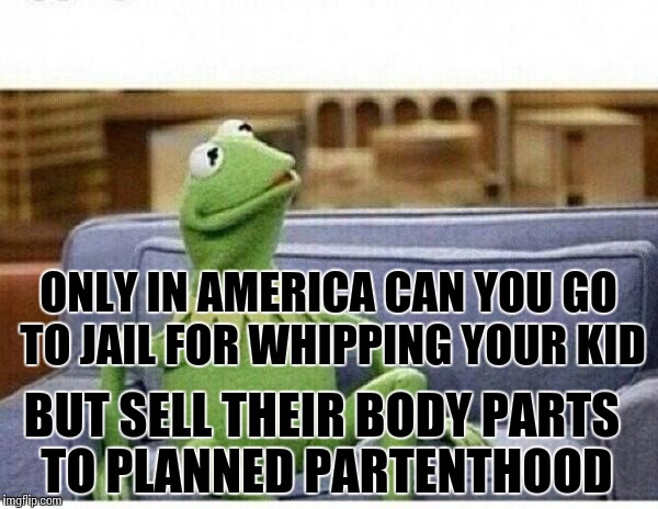 KERMIT | ONLY IN AMERICA CAN YOU GO TO JAIL FOR WHIPPING YOUR KID BUT SELL THEIR BODY PARTS TO PLANNED PARTENTHOOD | image tagged in kermit | made w/ Imgflip meme maker