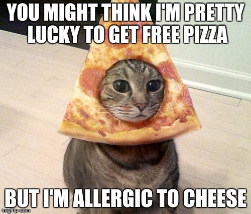 pizza cat | YOU MIGHT THINK I'M PRETTY LUCKY TO GET FREE PIZZA BUT I'M ALLERGIC TO CHEESE | image tagged in pizza cat | made w/ Imgflip meme maker