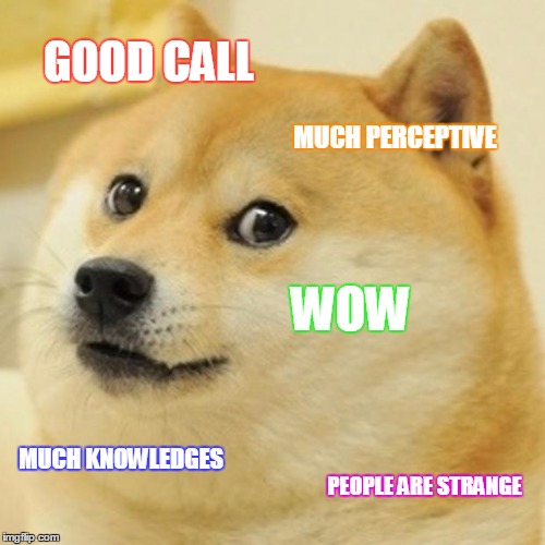 Doge Meme | GOOD CALL MUCH PERCEPTIVE WOW MUCH KNOWLEDGES PEOPLE ARE STRANGE | image tagged in memes,doge | made w/ Imgflip meme maker