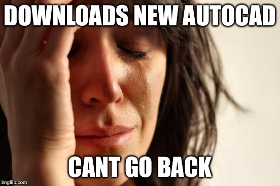 First World Problems Meme | DOWNLOADS NEW AUTOCAD CANT GO BACK | image tagged in memes,first world problems | made w/ Imgflip meme maker