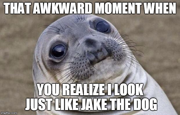 Awkward Moment Sealion | THAT AWKWARD MOMENT WHEN YOU REALIZE I LOOK JUST LIKE JAKE THE DOG | image tagged in memes,awkward moment sealion | made w/ Imgflip meme maker