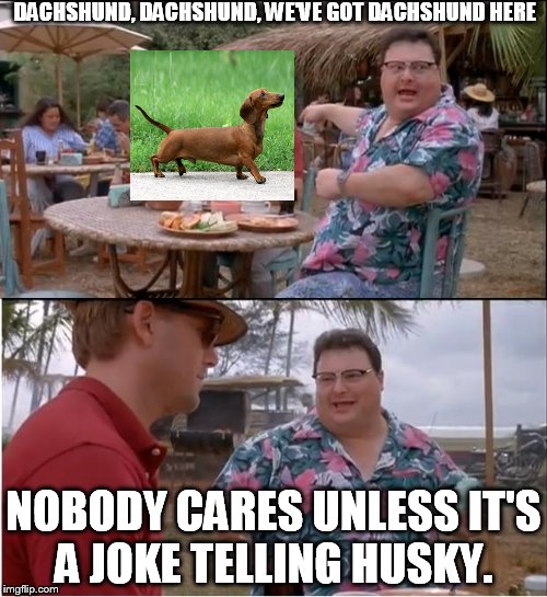 See Nobody Cares Meme | DACHSHUND, DACHSHUND, WE'VE GOT DACHSHUND HERE NOBODY CARES UNLESS IT'S A JOKE TELLING HUSKY. | image tagged in memes,see nobody cares | made w/ Imgflip meme maker