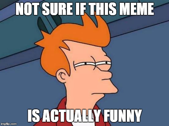 Futurama Fry Meme | NOT SURE IF THIS MEME IS ACTUALLY FUNNY | image tagged in memes,futurama fry | made w/ Imgflip meme maker