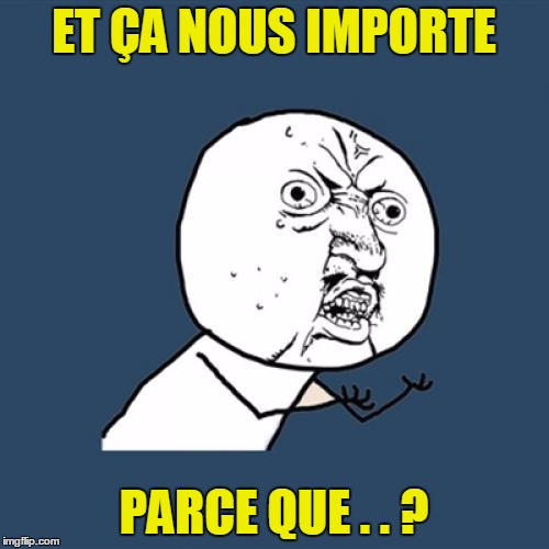 Y U No Meme | ET ÇA NOUS IMPORTE PARCE QUE . . ? | image tagged in memes,y u no | made w/ Imgflip meme maker