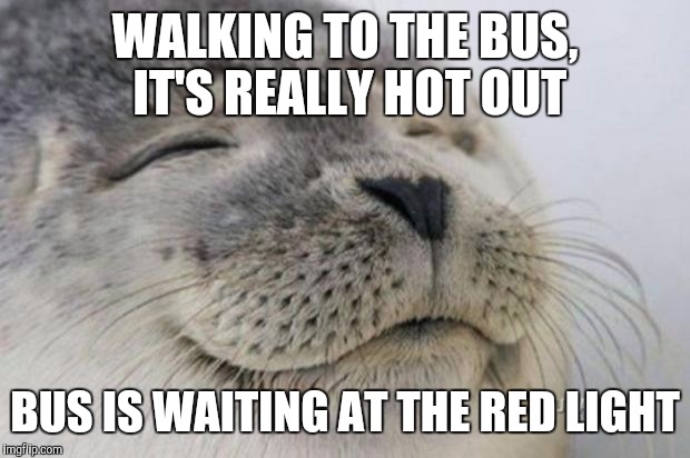 Happy Seal | WALKING TO THE BUS, IT'S REALLY HOT OUT BUS IS WAITING AT THE RED LIGHT | image tagged in happy seal | made w/ Imgflip meme maker