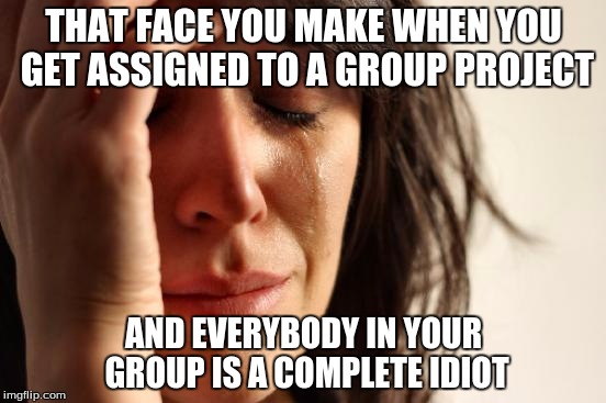 First World Problems | THAT FACE YOU MAKE WHEN YOU GET ASSIGNED TO A GROUP PROJECT AND EVERYBODY IN YOUR GROUP IS A COMPLETE IDIOT | image tagged in memes,first world problems | made w/ Imgflip meme maker