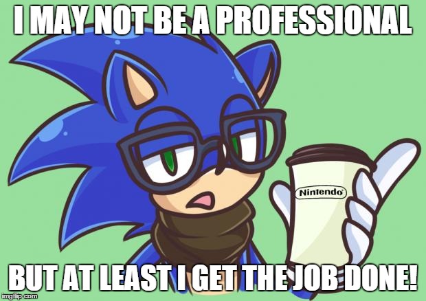 Sonic the Hipster | I MAY NOT BE A PROFESSIONAL BUT AT LEAST I GET THE JOB DONE! | image tagged in sonic the hipster | made w/ Imgflip meme maker