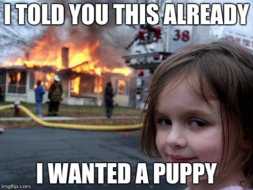 Disaster Girl Meme | I TOLD YOU THIS ALREADY I WANTED A PUPPY | image tagged in memes,disaster girl | made w/ Imgflip meme maker
