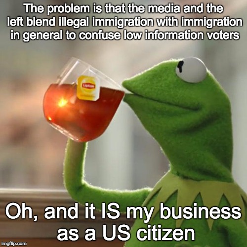 But That's None Of My Business Meme | The problem is that the media and the left blend illegal immigration with immigration in general to confuse low information voters Oh, and i | image tagged in memes,but thats none of my business,kermit the frog | made w/ Imgflip meme maker