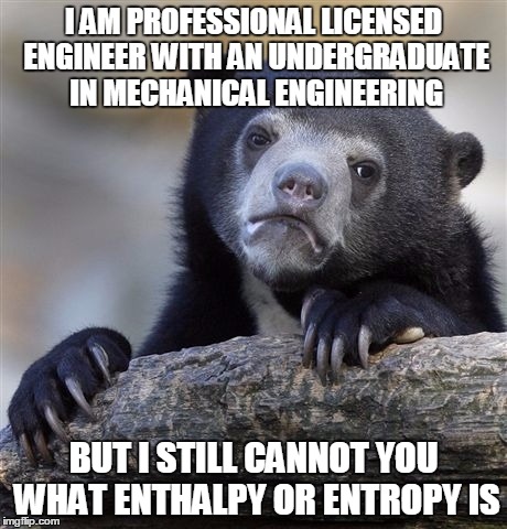Confession Bear Meme | I AM PROFESSIONAL LICENSED ENGINEER WITH AN UNDERGRADUATE IN MECHANICAL ENGINEERING BUT I STILL CANNOT YOU WHAT ENTHALPY OR ENTROPY IS | image tagged in memes,confession bear | made w/ Imgflip meme maker