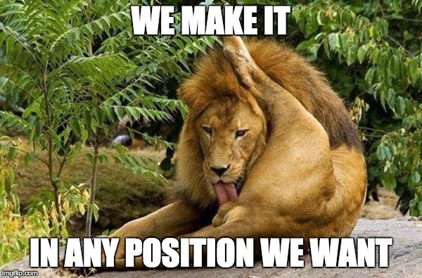 lion licking balls | WE MAKE IT IN ANY POSITION WE WANT | image tagged in lion licking balls | made w/ Imgflip meme maker