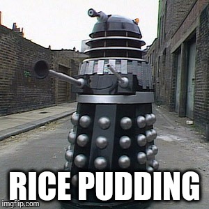 Rice Pudding | RICE PUDDING | image tagged in grumpy cat | made w/ Imgflip meme maker