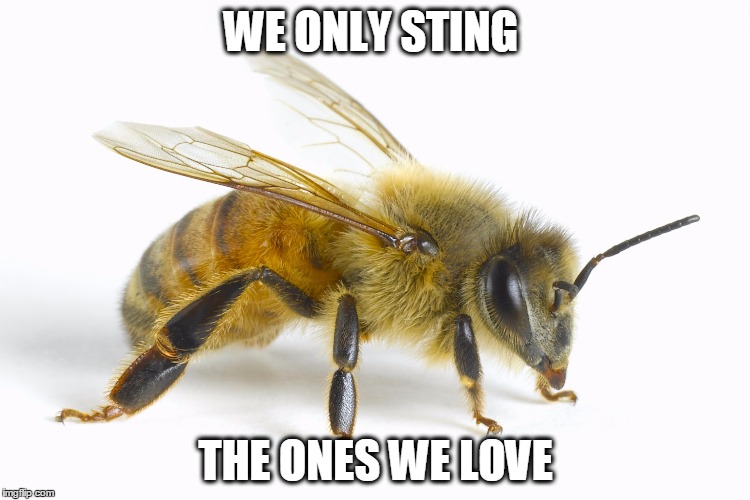 WE ONLY STING THE ONES WE LOVE | image tagged in love,bees | made w/ Imgflip meme maker