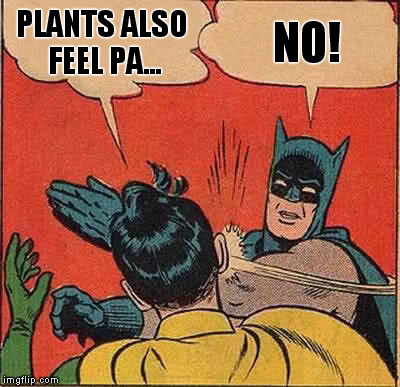Batman Slapping Robin | PLANTS ALSO FEEL PA... NO! | image tagged in memes,batman slapping robin | made w/ Imgflip meme maker