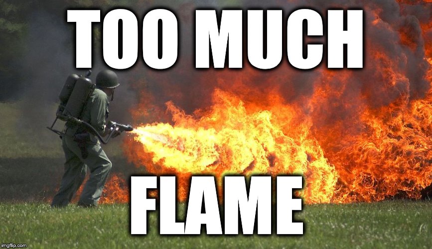 TOO MUCH FLAME | image tagged in flamethrower | made w/ Imgflip meme maker