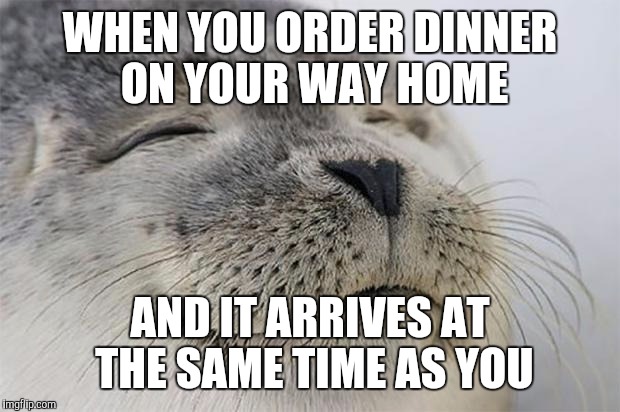 Satisfied Seal Meme | WHEN YOU ORDER DINNER ON YOUR WAY HOME AND IT ARRIVES AT THE SAME TIME AS YOU | image tagged in memes,satisfied seal,AdviceAnimals | made w/ Imgflip meme maker