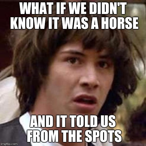 Conspiracy Keanu Meme | WHAT IF WE DIDN'T KNOW IT WAS A HORSE AND IT TOLD US FROM THE SPOTS | image tagged in memes,conspiracy keanu | made w/ Imgflip meme maker