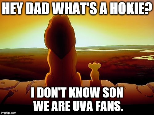 Lion King | HEY DAD WHAT'S A HOKIE? I DON'T KNOW SON WE ARE UVA FANS. | image tagged in memes,lion king | made w/ Imgflip meme maker